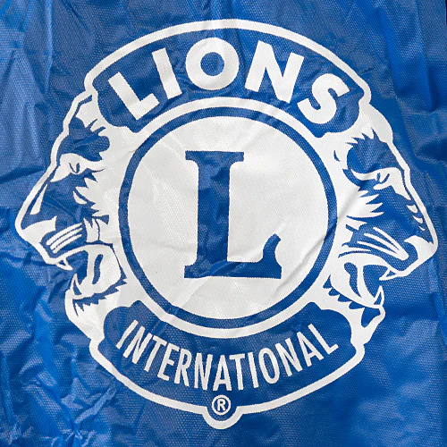 LIONS PONCHO - Image 3