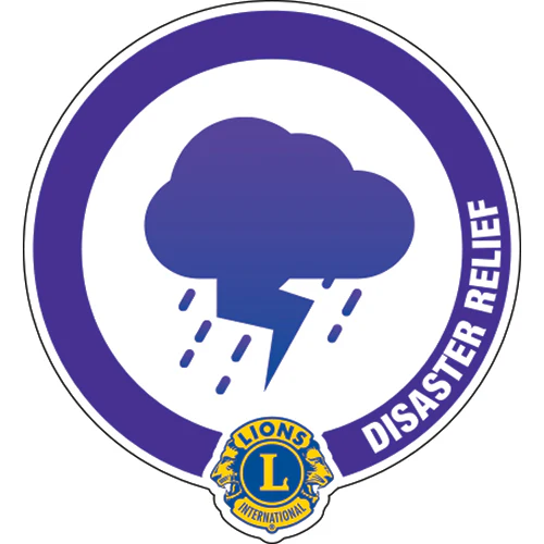 GLOBAL CAUSE PINS - Image 7