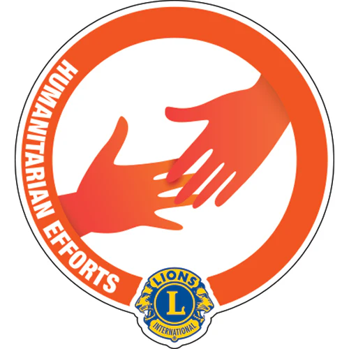 GLOBAL CAUSE PINS - Image 8